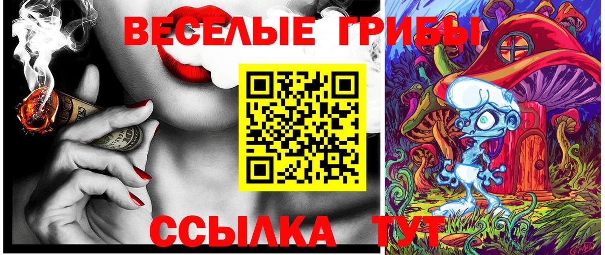 Галлюциногенные грибы мицелий Алексеевка