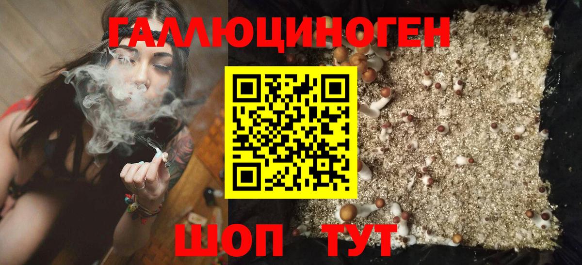 Алексеевка  закладка  Вход с VPN  Галлюциногенные грибы GOLDEN TEACHER 